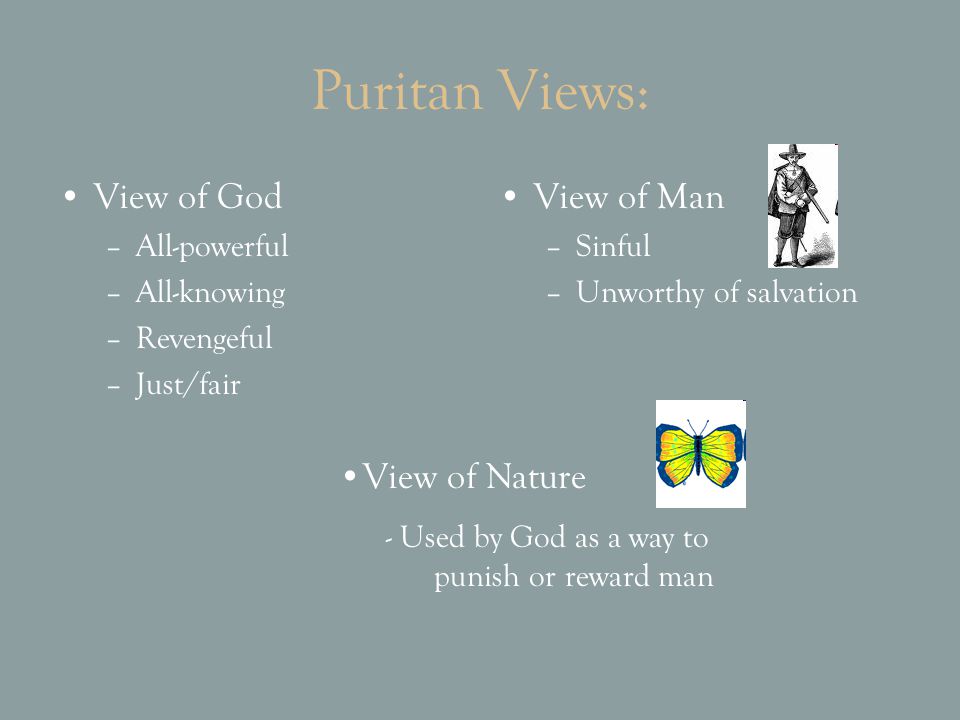 Puritan view nature